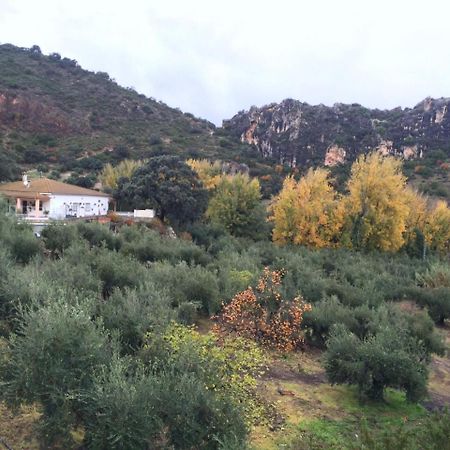 Villa La Quinta Priego de Córdoba Exteriör bild