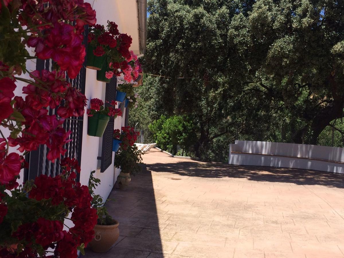 Villa La Quinta Priego de Córdoba Exteriör bild