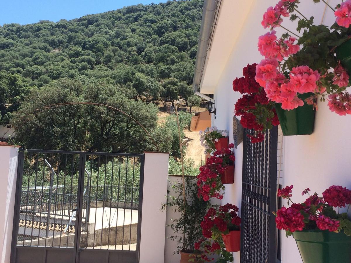 Villa La Quinta Priego de Córdoba Exteriör bild