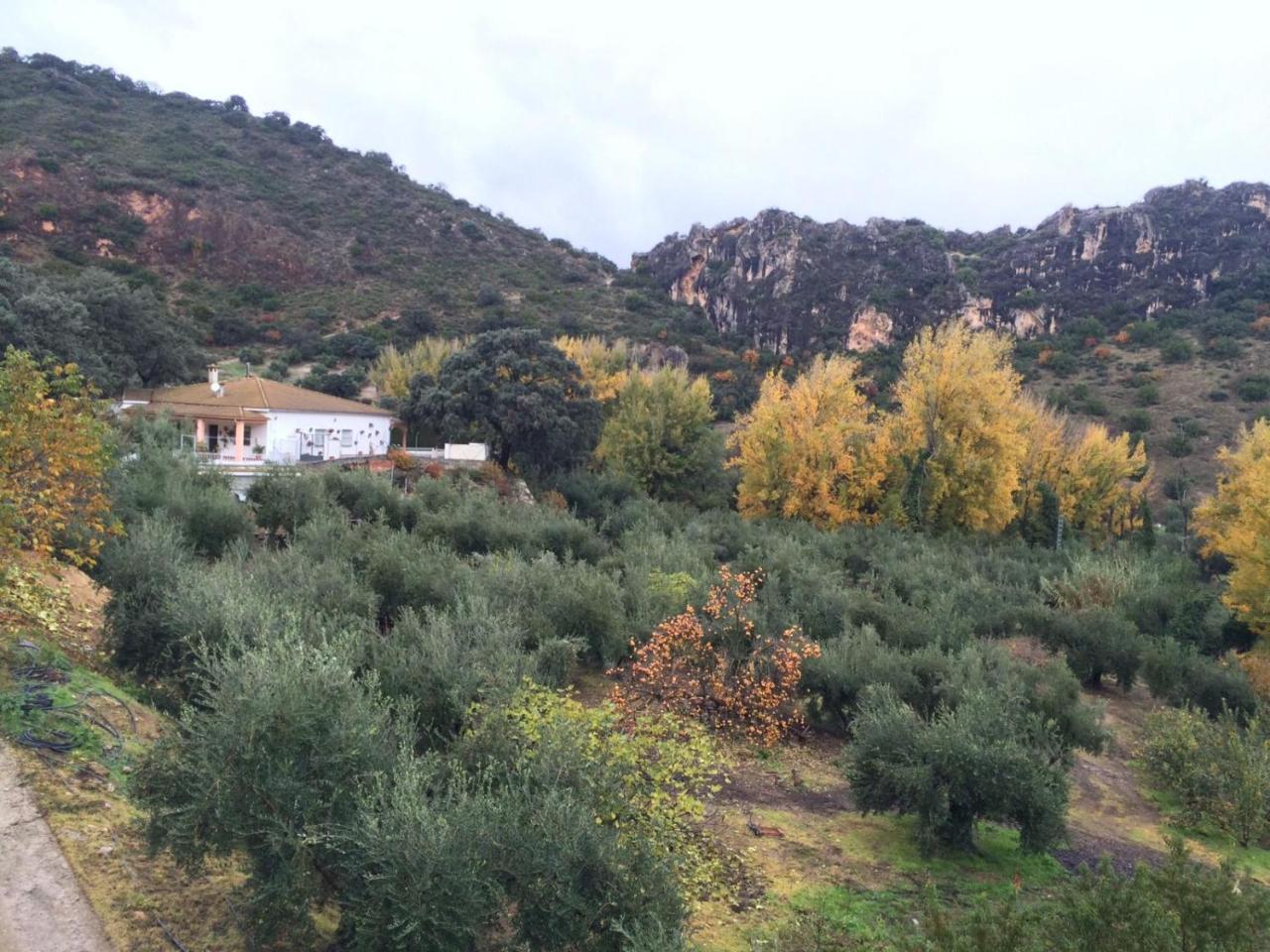 Villa La Quinta Priego de Córdoba Exteriör bild